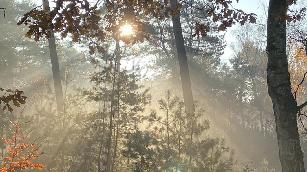 Natuurfoto