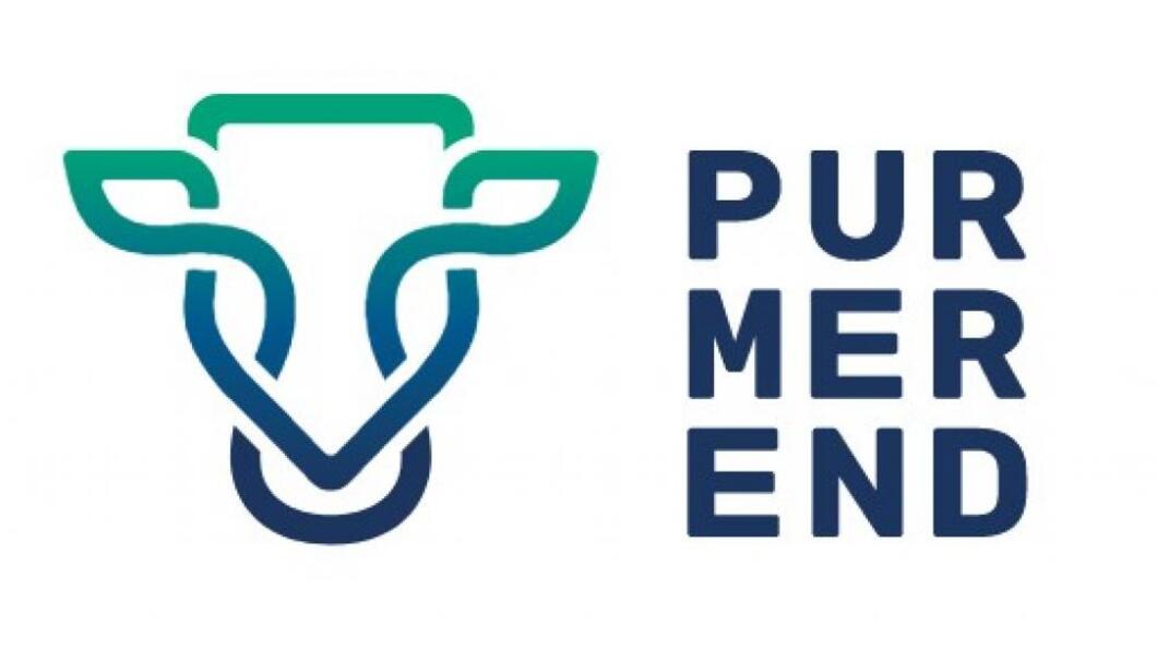 logo Purmerend