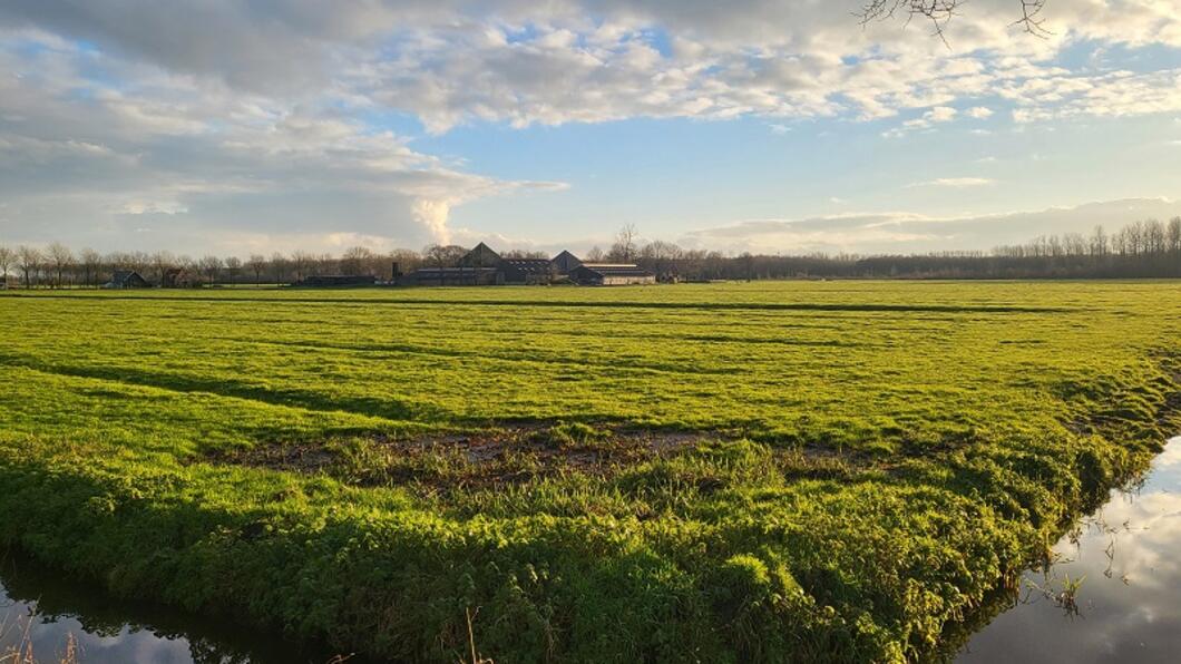 Foto van de geplande locatie voor opvang Oekraïense ontheemden in de Purmer-Zuid zuid